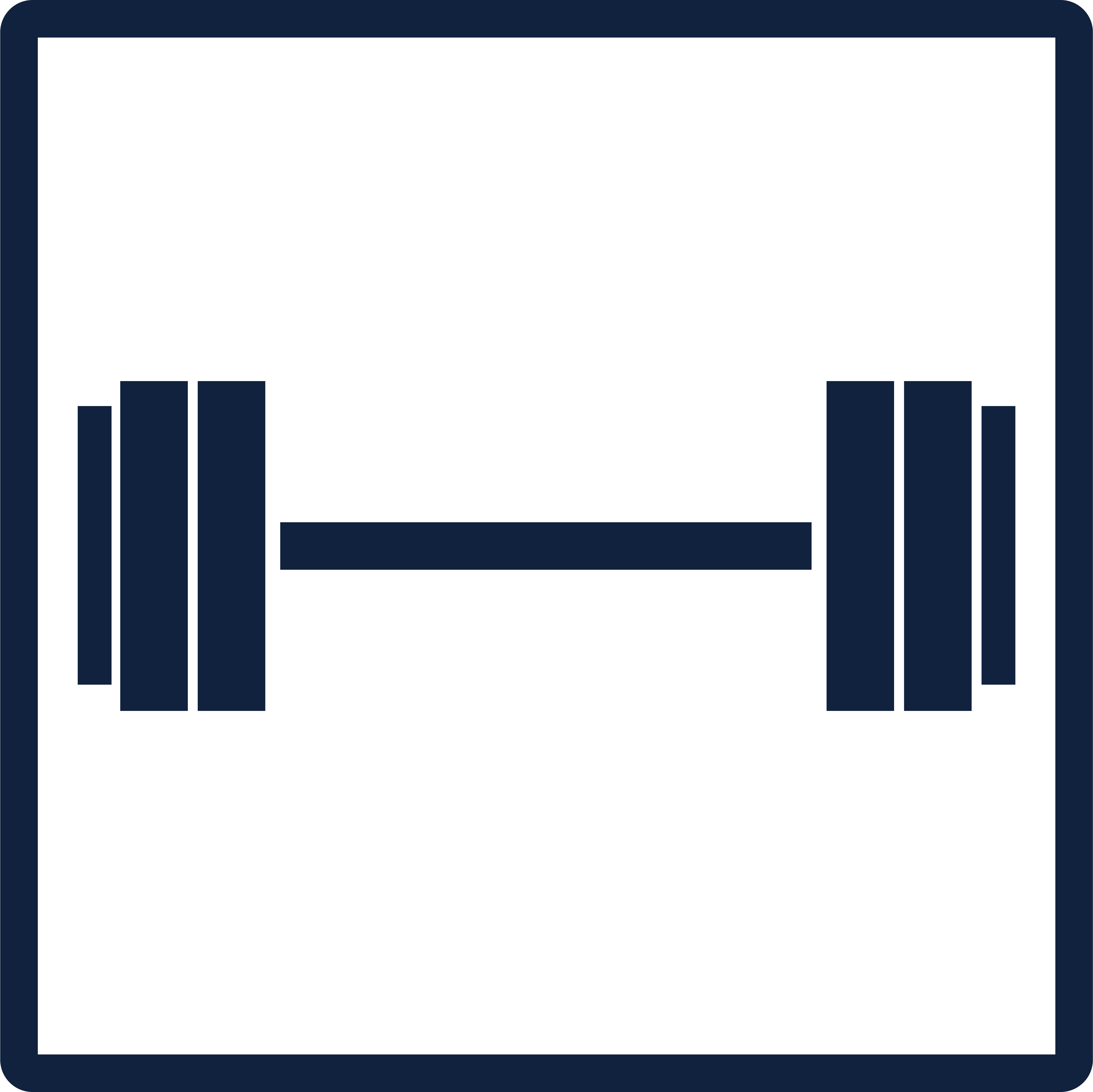 Strength Training Icon